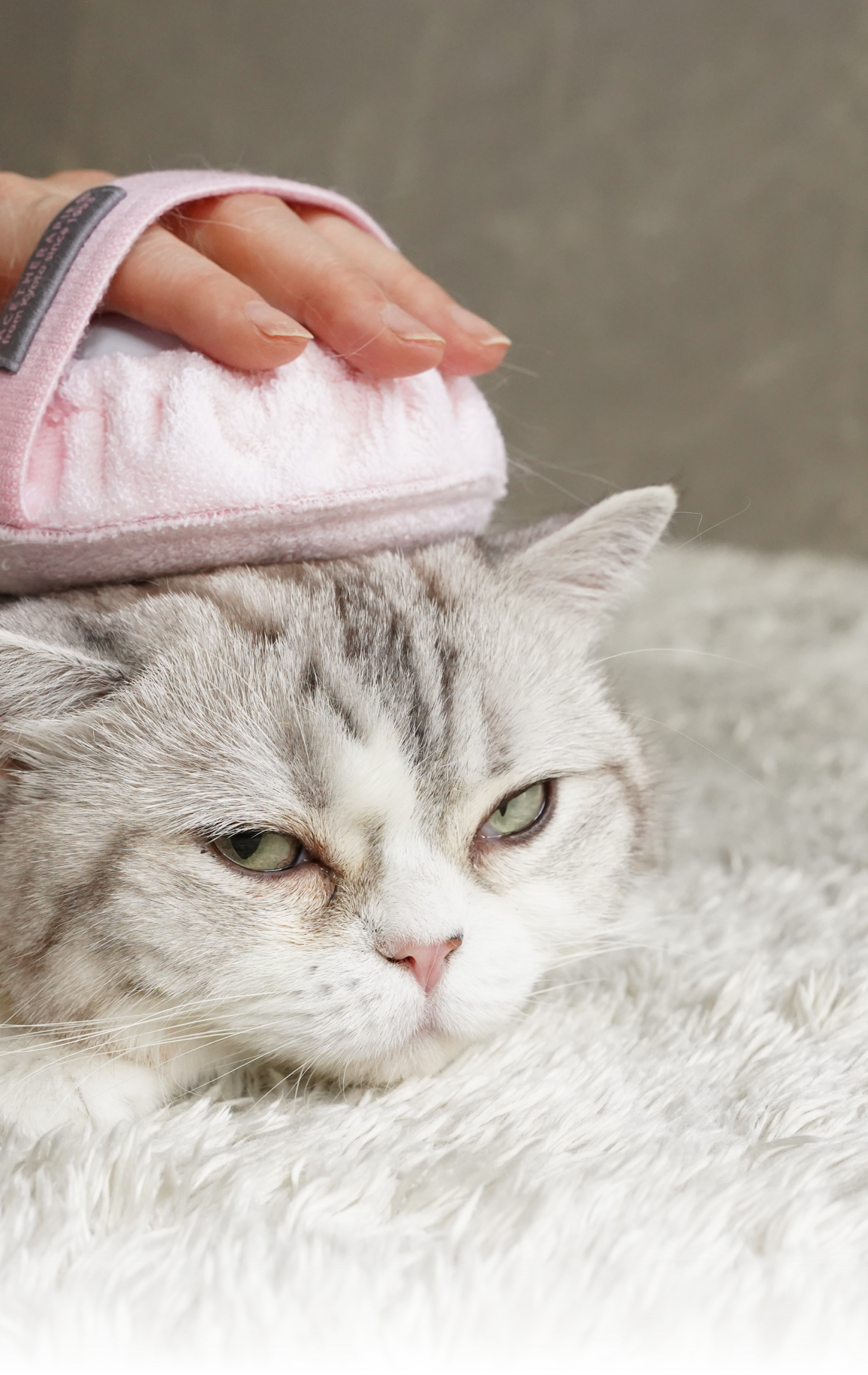 シニアペットケア